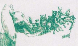 Tierarztpraxis Dr. Rosenbaum